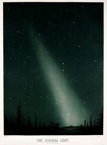 The zodical light from the Trouvelot astronomical drawings (1881-1882) by E. L. Trouvelot (1827-1895)