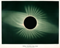 Total eclipse of the sun from the Trouvelot astronomical drawings (1881-1882) by E. L. Trouvelot (1827-1895)