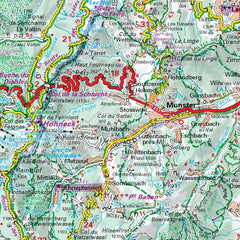 Black Forest, Alsace & Rhine Valley – Michelin Zoom Map 131