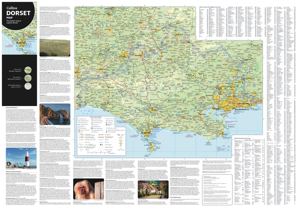 Dorset Pocket Map – Collins | Mapworld