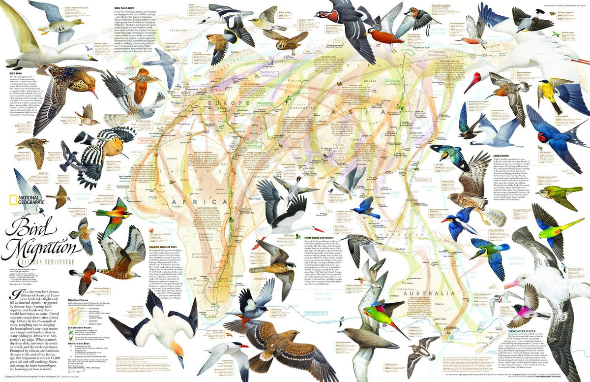 Birds Migration of the – National Geographic | Mapworld