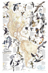 Birds Migration of the Western Hemisphere by National Geographic Wall Map