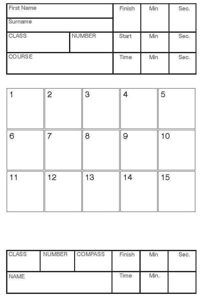 Control Cards - 15 punch squares, perforated (pack of 100)