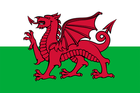 Wales Flag 1800 x 900mm