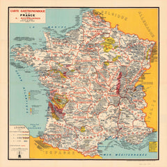 Gastronomic Wall Map of France 1951