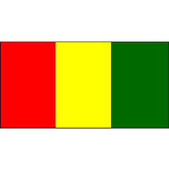 Guinea Flag 1800 x 900mm