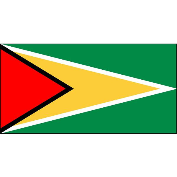 Guyana Flag 1800 x 900mm