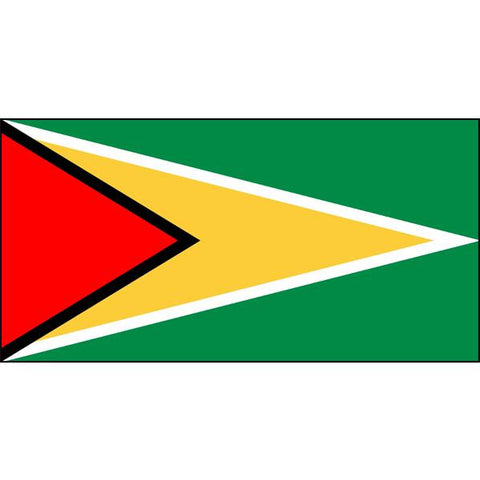 Guyana Flag 1800 x 900mm