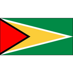 Guyana Flag 1800 x 900mm