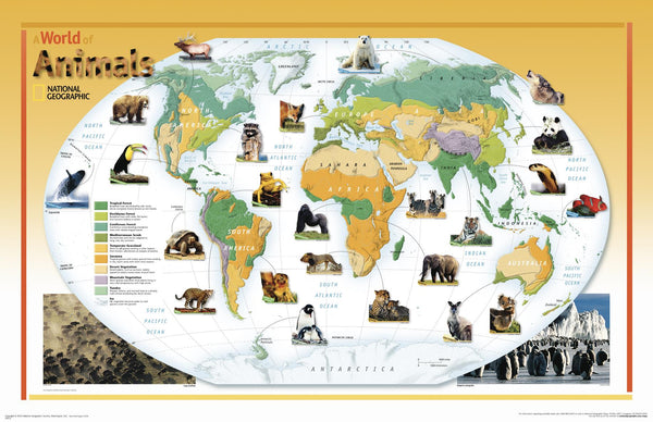 World of Animals - Published in 2004 by National Geographic