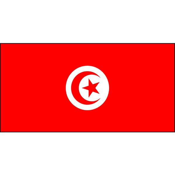Tunisia Flag 1800 x 900mm