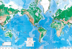 World DMA Mural 8 Sheet Wallpaper Map