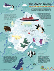 Children's Arctic Wall Map by Collins 570 x 738mm