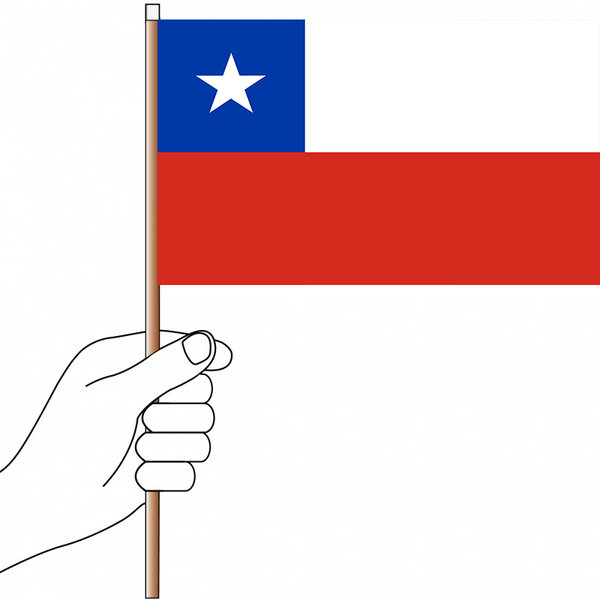 Chile Flag Handwaver - Knitted Polyester