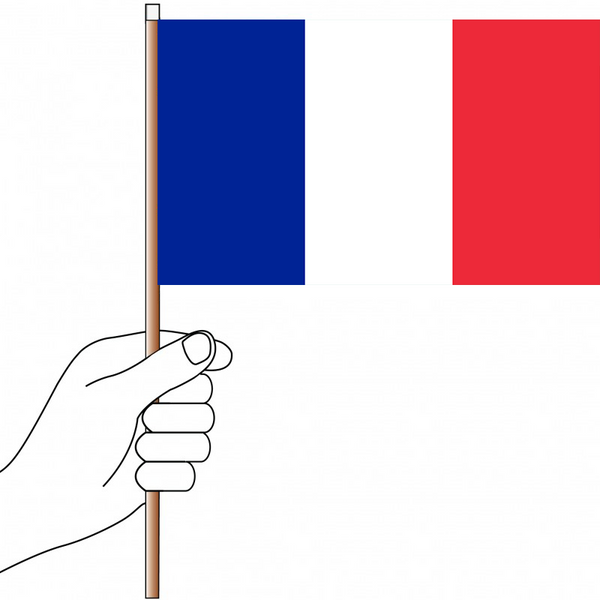 France Flag Handwaver - Knitted Polyester