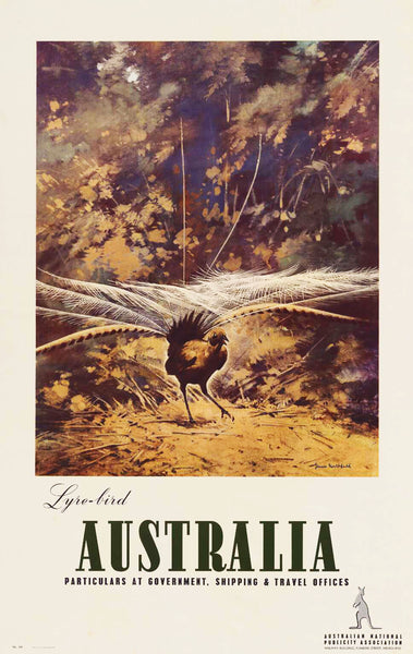 TRAVEL POSTER - Lyre Bird Vintage Poster