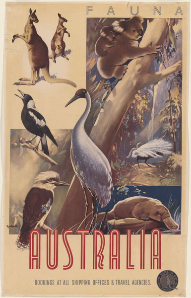 TRAVEL POSTER - Australian Fauna