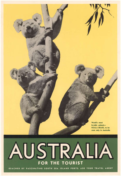 TRAVEL POSTER - Lovable Koalas