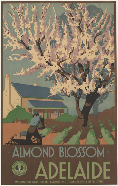 TRAVEL POSTER - Almond Blossom Adelaide