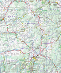 Romania Michelin Map 738